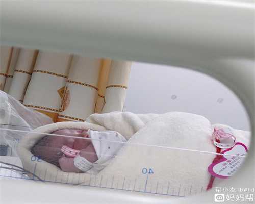 上海代孕双胞胎的公司_孕妇能不能吃藜蒿
