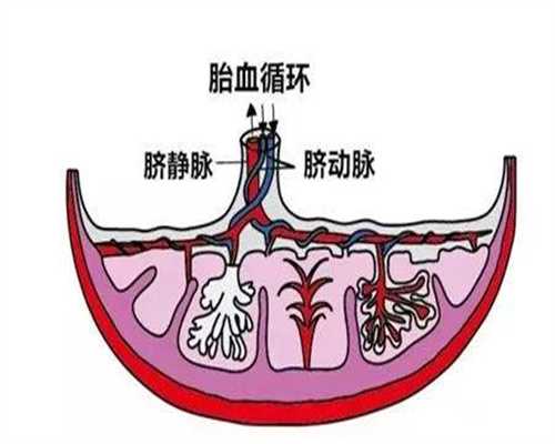 上海代怀孕中介联系方式_有先兆会预示流产应该用什么保胎