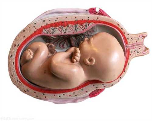 试管婴儿取卵代孕_怀孕初期可以深蹲吗