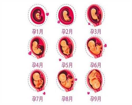 上海最专业的代孕网_孕早期胎心高是女孩吗