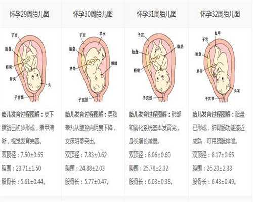 上海福臣代孕_怀孕第一周的特征是什么呢