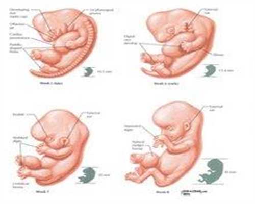 代孕哪里可以找到_怀孕十三周肚子月经感