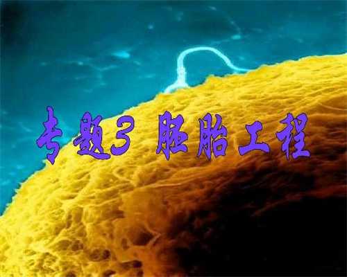 上海代孕网站`上海代孕机构合`上海借卵子生子什么意思