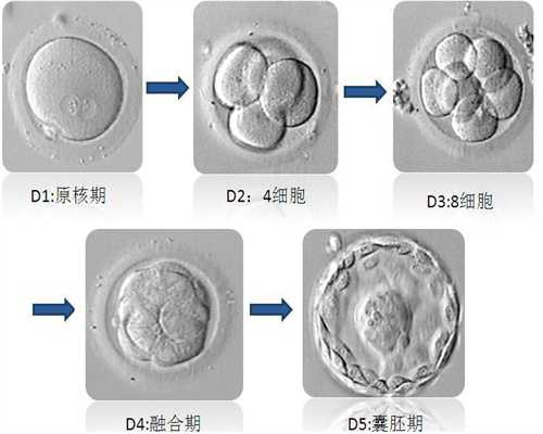 上海代孕机构,上海找代孕人员,靠谱的上海借腹生子中介
