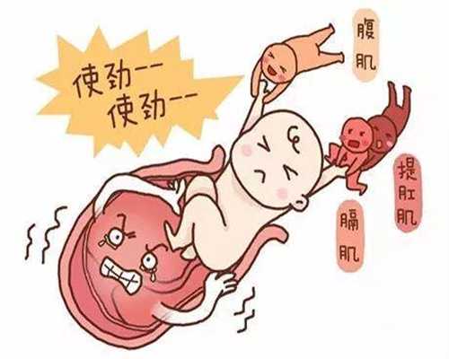 上海正规代孕~上海哪里有人代孕~上海代孕如何确定父母