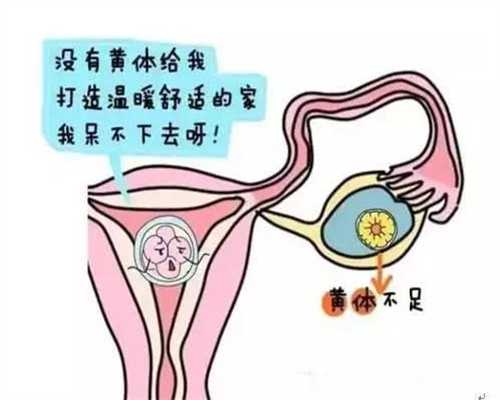 上海代妈价格`上海找代孕电话`上海做试管要多少钱啊