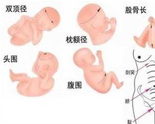 上海代孕报价,上海代孕生男孩价格,上海试管三代移植成功的多吗