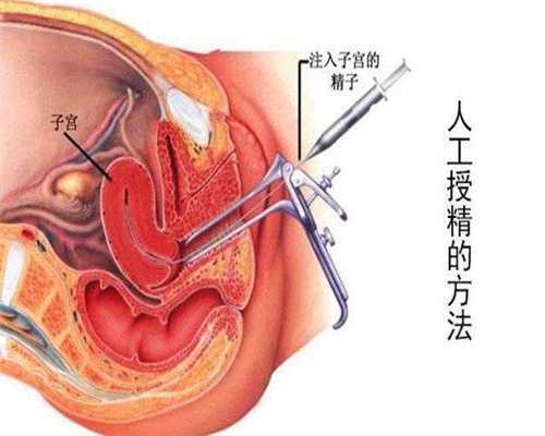 上海代孕集团`上海哪家医院代孕`上海代孕生小孩子电话