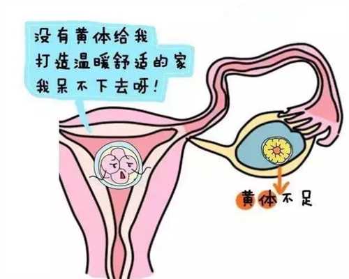 上海代孕地址,上海第三代试管中介,上海借腹代孕生子怎么办