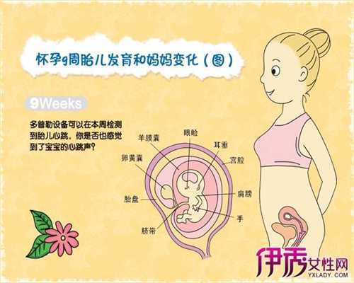 上海代孕方法,上海单身男找代孕,上海代孕妈妈什么意思