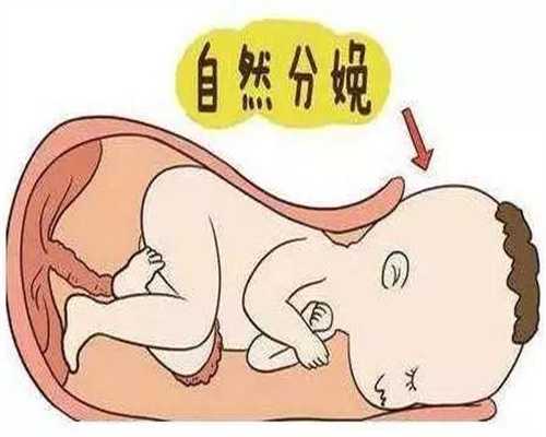 上海二胎代孕_上海代生孩子可以吗_上海试管代孕移植一次多少钱