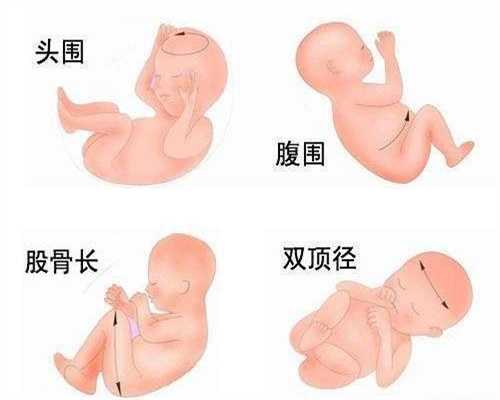 上海代孕单价,中国上海供卵代孕,上海找人代孕生小孩费用