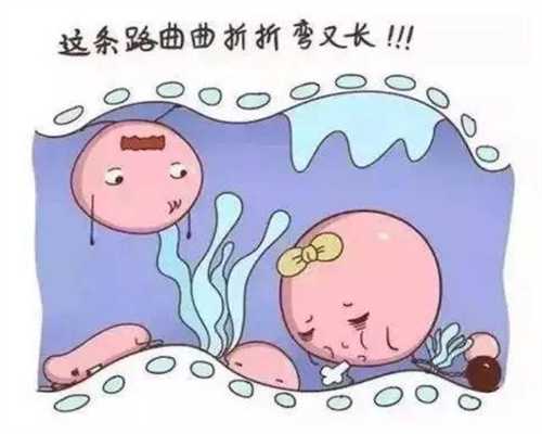上海代孕好吗,上海代孕馆价格表,上海借卵的个人和私立医院