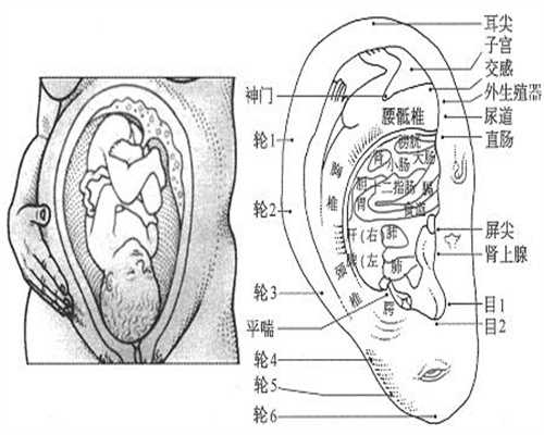 上海代孕电话`上海代理孕母价格`做个上海试管代孕具体费用