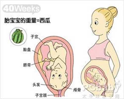 上海靠谱代孕`上海借卵代孕价格`个人上海代孕生孩子qq群