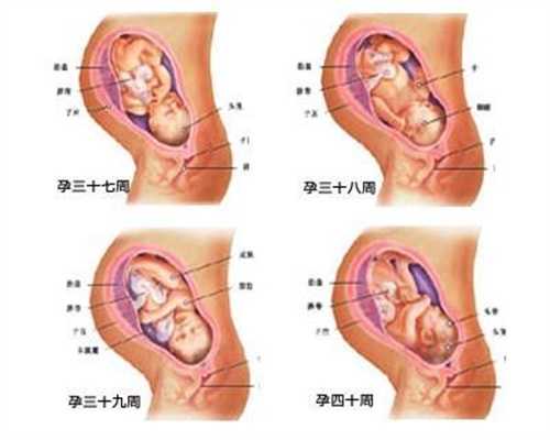 上海代孕宝宝`上海代孕合法么`上海代孕中介哪里安全
