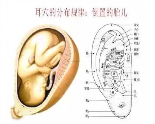 上海代孕办理-上海金贝供卵价格表-上海代孕公司哪一家好