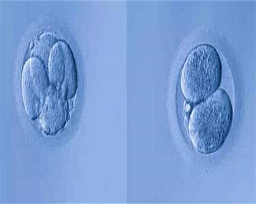 上海代孕流程-上海试管代孕如何-专业上海供卵试管代孕