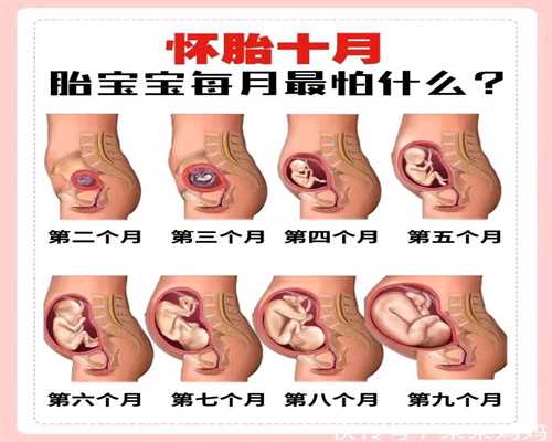 上海靠谱代孕`上海哪些医院做捐卵`找上海代孕机构要多少钱