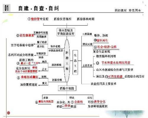 上海靠谱代孕，上海试管代孕功略，中国2021年合法上海代怀孕