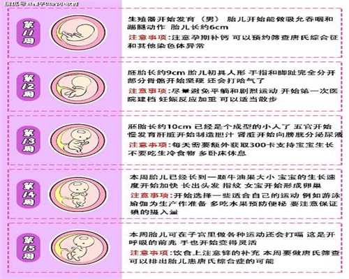 上海代孕费用~上海代孕产子多少钱~上海双胞胎代孕网地址