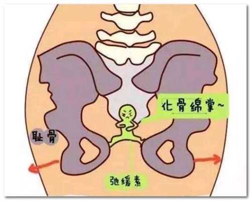 上海代孕流程`上海哪里有代孕`上海人工助孕的详细过程
