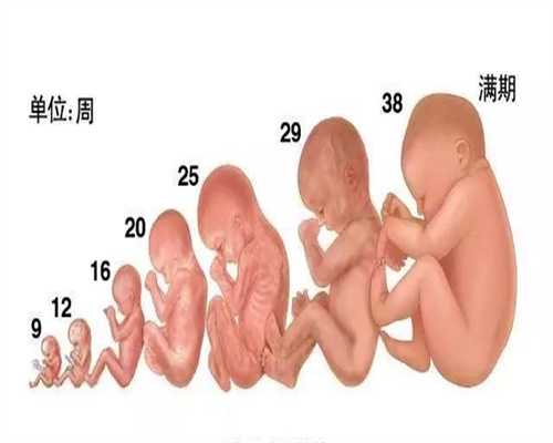 上海如何代孕`上海试管代孕第意思`中国无偿上海代孕合法吗