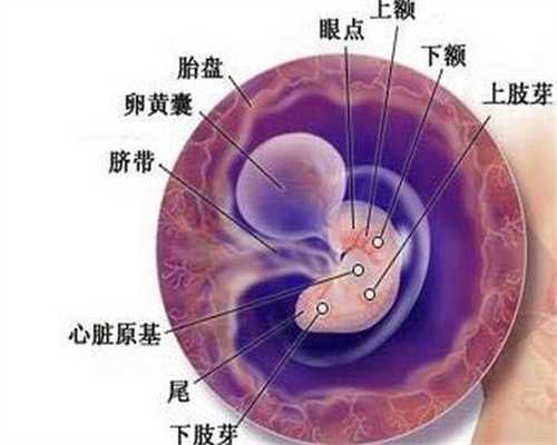 上海借卵代孕`上海代生孩子吧价格`上海哪里有人要代生孩子的