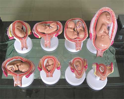 上海代孕套餐-上海最大代孕机构-上海代孕生宝宝价格费用