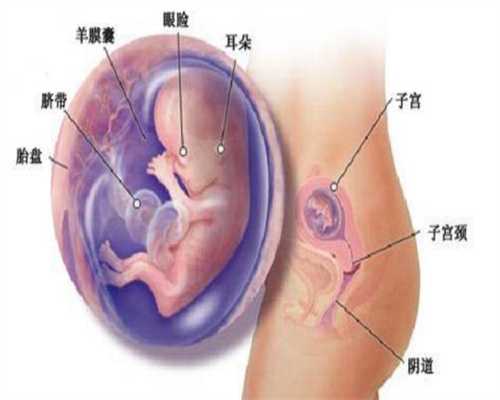 上海代孕价位~找个上海代孕生孩子~上海代孕手术什么价格