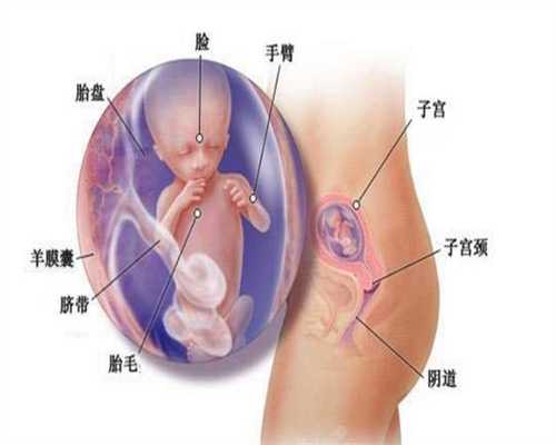 上海代孕套餐，寻找上海代生孩子，上海人工代孕怎么回事
