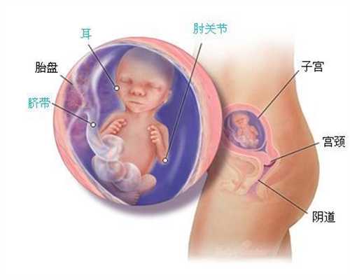 上海代生孩子_上海有没有代孕_卵巢早衰生孩子找上海供卵助孕