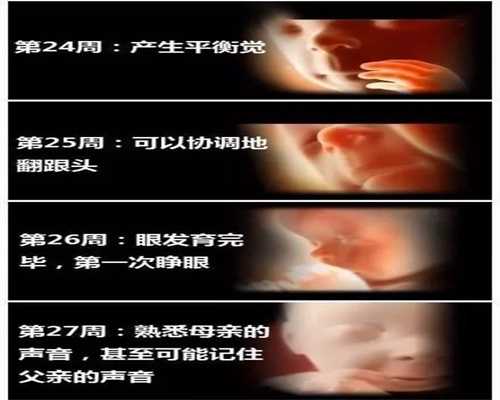 上海爱心代孕~上海代孕基因~上海借卵代怀生男孩要花多少钱