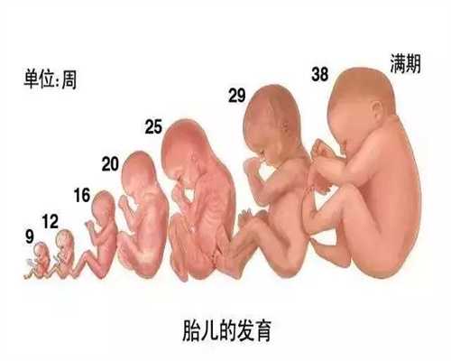 上海代孕成功率_上海代孕需要做什么准备【上海代孕未来，圆梦你我】