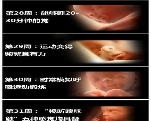 上海代生孩子多少钱,上海代孕多少钱,上海代孕有合法机构吗