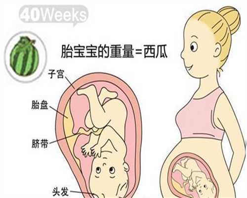 上海做代孕的时间_上海哪里需要代孕母亲【技术成熟，价格实惠100%包成功】