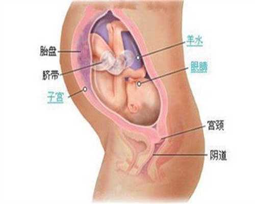 上海找代孕合法吗-上海代孕一个大概多少钱【上海精准代孕，献给不孕的你】