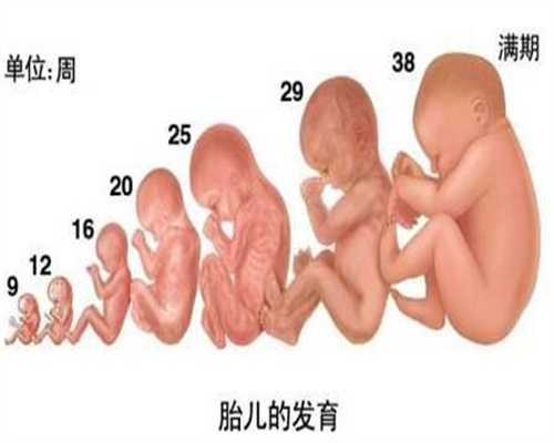 上海正规代孕,上海代孕机构费用,上海最便宜的代孕多少钱