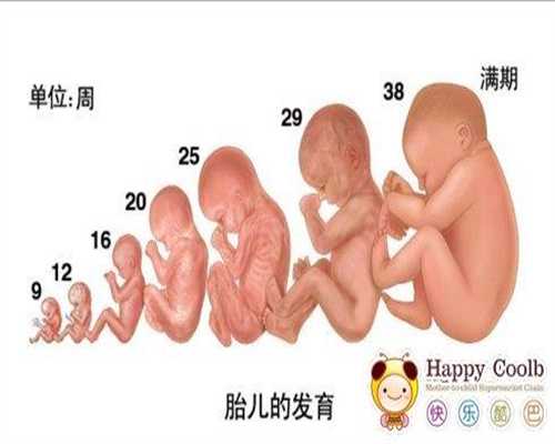 上海代孕费用为多少_上海有人愿意做代孕妈妈吗【上海代孕生子，实现宝宝来