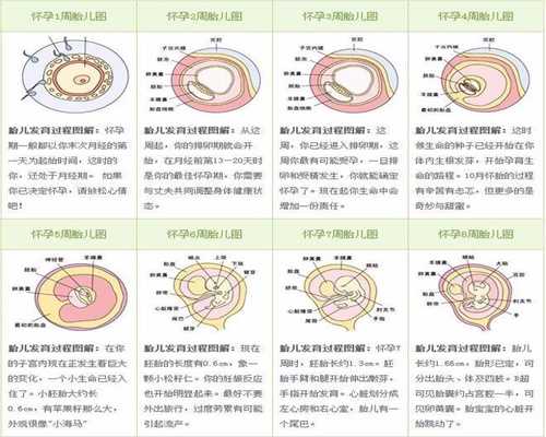 上海代孕男女选择-上海网上代孕真的假的【技术成熟，价格实惠100%包成功】