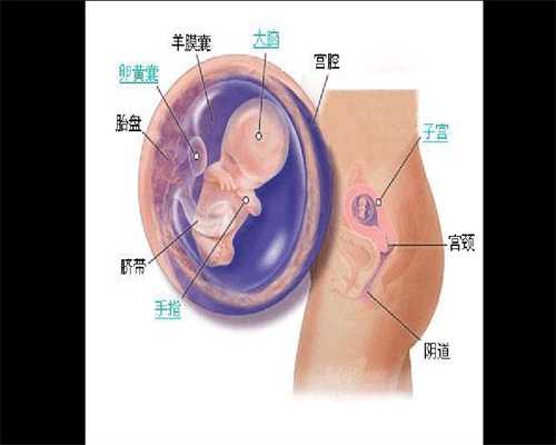 上海代孕价格_上海代生女儿_上海找代孕是真是假