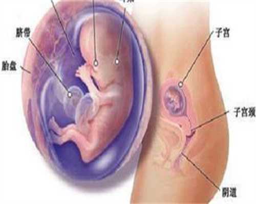 上海代孕费用_上海包成功代孕_上海代孕前的一些检查