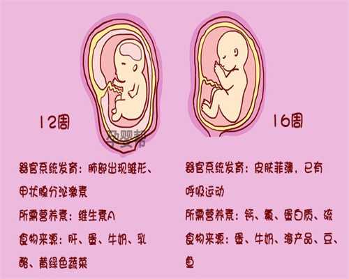 上海代孕哪里做的好_上海找代孕妈妈电话【上海专业代孕安全放心】