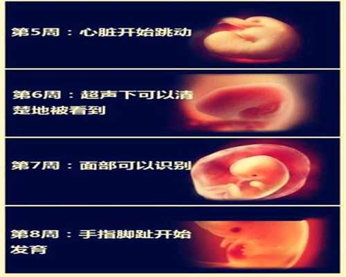 上海供卵代孕_上海代孕哪里技术好_上海代孕的服务哪家好